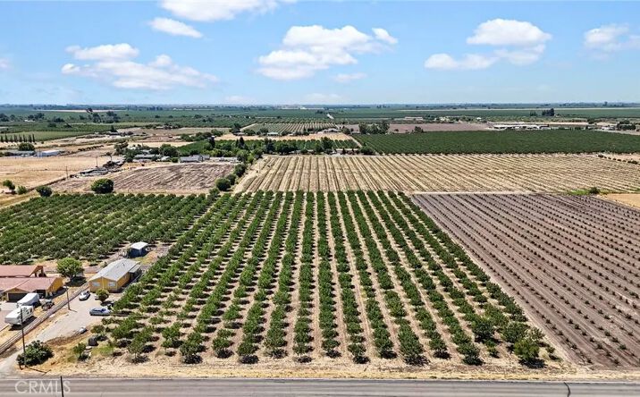 Pictures of Land property located at E Childs, Le Grand, CA 95333 for sales - image #1