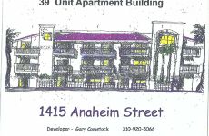 30205411