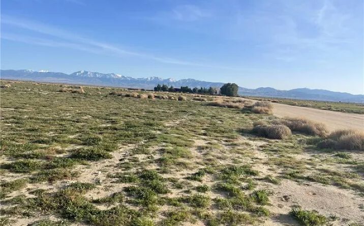 Pictures of Land property located at 102 E Avenue M, Palmdale, CA 93591 for sales - image #1