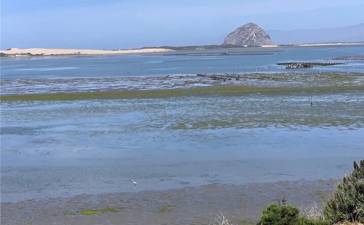 Pictures of Land property located at Pasadena, Los Osos, CA 93402 for sales - image #1