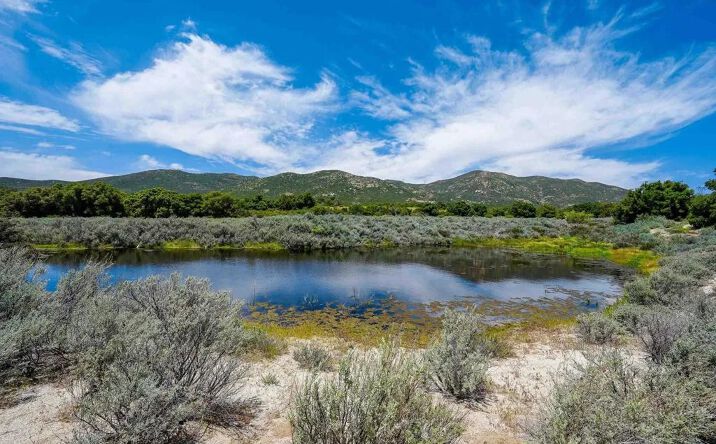 Pictures of Land property located at 160 Acres Canebrake, Boulevard, CA 91905 for sales - image #1