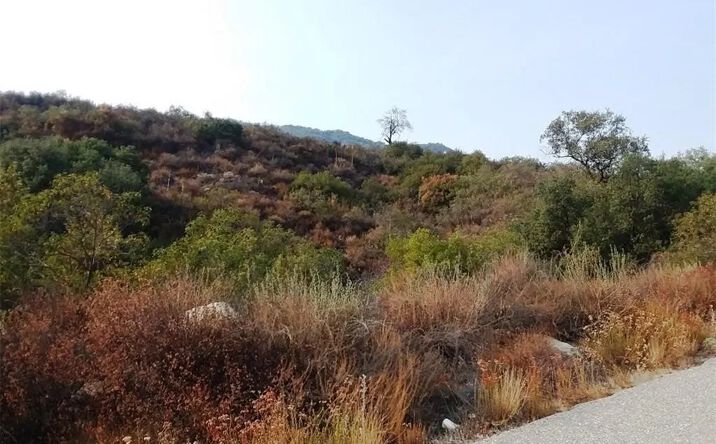 Pictures of Land property located at Carancho, Temecula, CA 92590 for sales - image #1