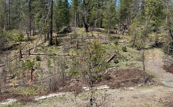 Pictures of Land property located at 6493 Greeley Hill, Coulterville, CA 95311 for sales - image #1