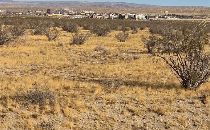 Pictures of Land property located at Arbuckle, Barstow, CA 92311 for sales - image #1