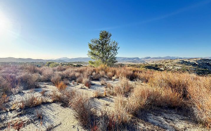 Pictures of Land property located at Forrest Gate Rd. Unit 0, Campo, CA 91906 for sales - image #1