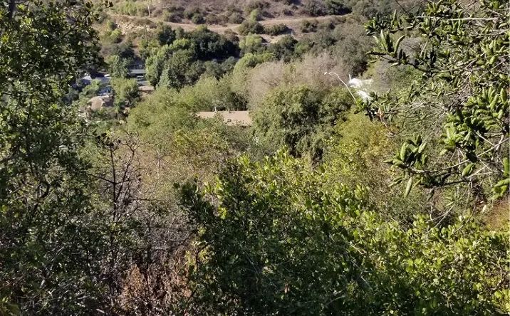Pictures of Land property located at Grand View, Chino Hills, CA 91709 for sales - image #1