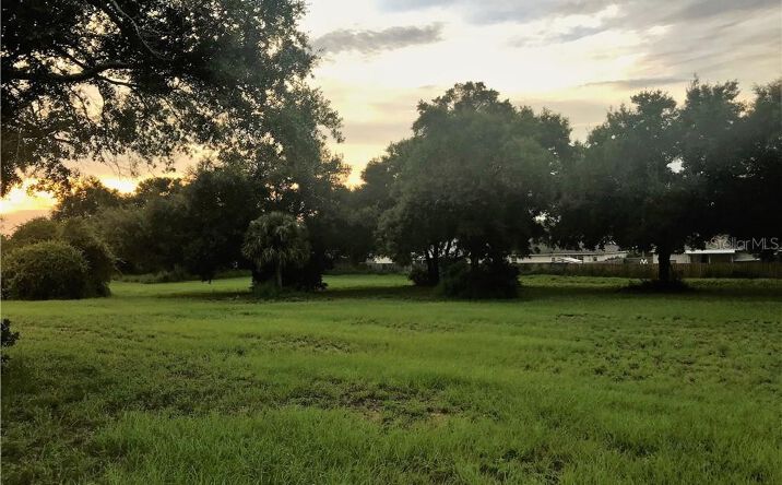 Pictures of Land property located at County Rd 448, Tavares, FL 32778 for sales - image #1