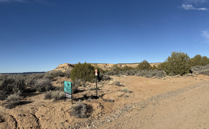 Pictures of Land property located at XX ROAD 4440, Blanco, NM 87412 for sales - image #1
