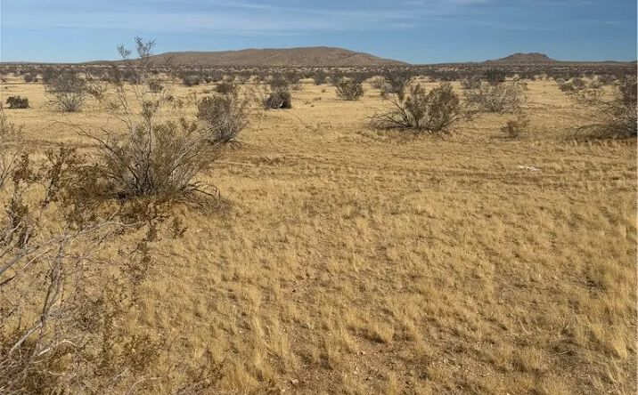 Pictures of Land property located at Chambray Street, Oro Grande, CA 92368 for sales - image #1