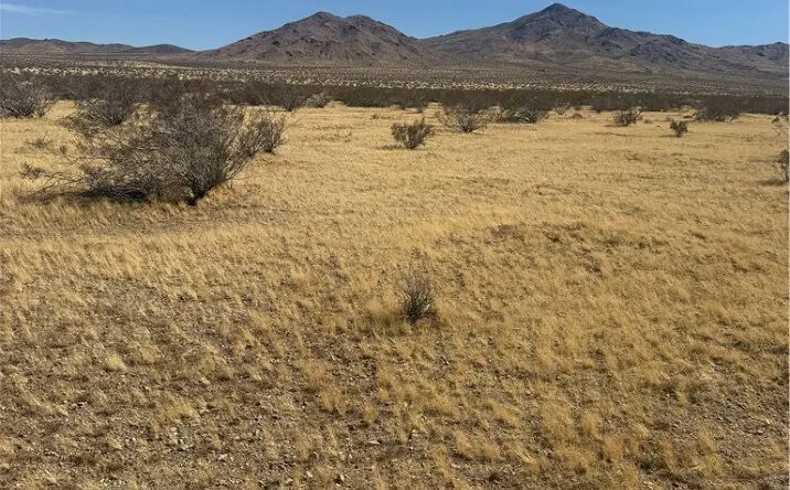 Pictures of Land property located at Chiffon Street, Oro Grande, CA 92368 for sales - image #1