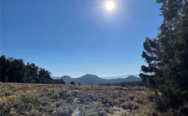 Pictures of Land property located at Long Canyon Trl, Unincorporated, CA 93527 for sales - image #1