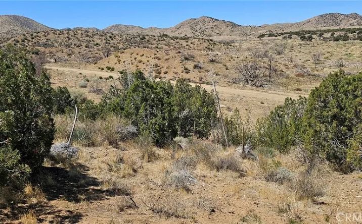 Pictures of Land property located at 98th East, Juniper Hills, CA 93543 for sales - image #1