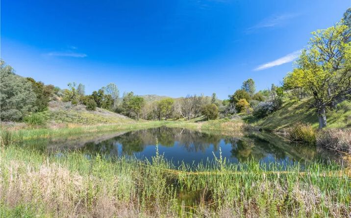 Pictures of Land, Special Purpose property located at Av Ranch, King City, CA 93928 for sales - image #1