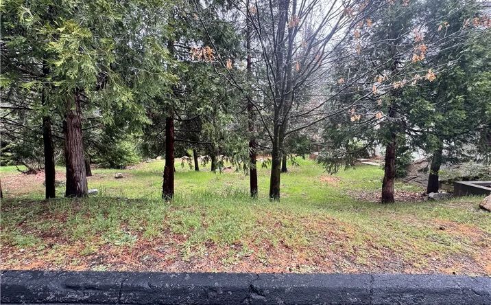 Pictures of Land property located at 27525 Meadow Bay, Lake Arrowhead, CA 92352 for sales - image #1