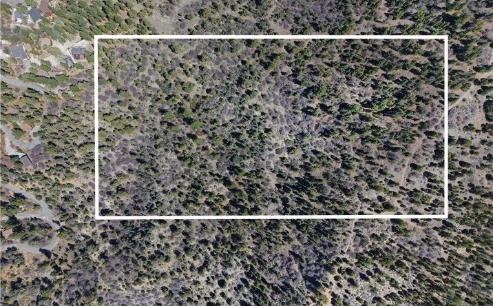 Pictures of Land property located at 615 Kean Way, Big Bear City, CA 92314 for sales - image #1
