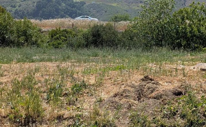 Pictures of Land property located at 5419 Norway, Ventura, CA 93001 for sales - image #1