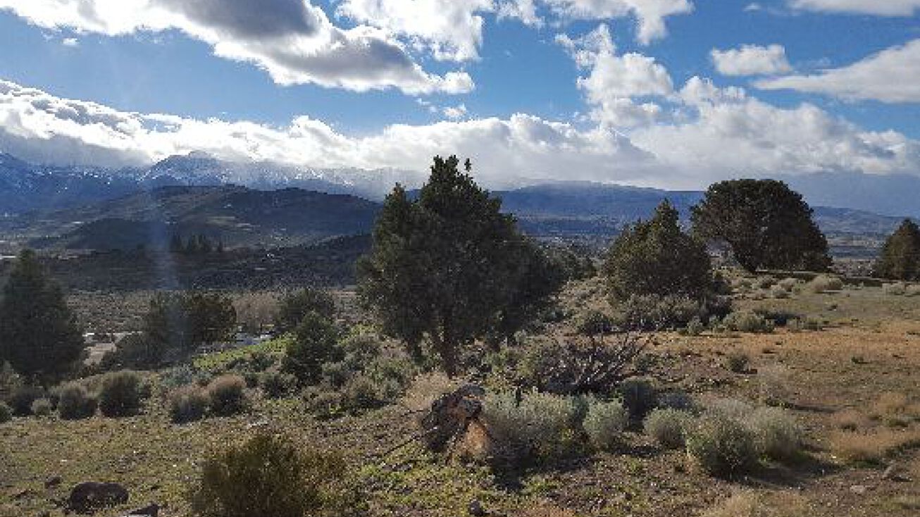 0 Toll Road, Reno, NV 89523