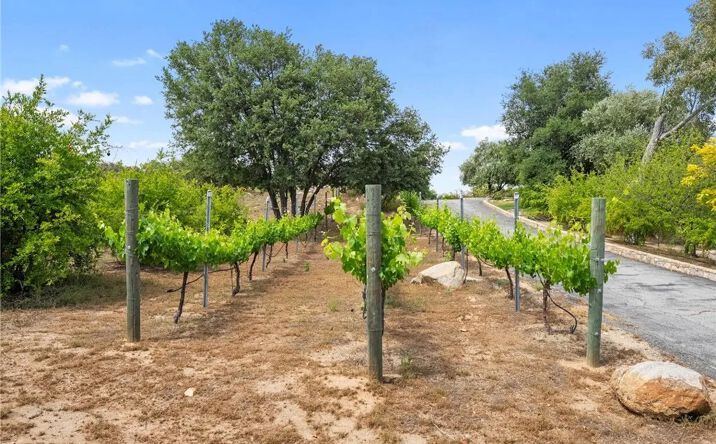 Pictures of Land property located at Hombre, Murrieta, CA 92562 for sales - image #1