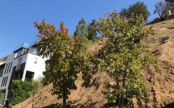 Pictures of Land property located at 1422 Lindacrest Dr, Beverly Hills, CA 90210 for sales - image #1