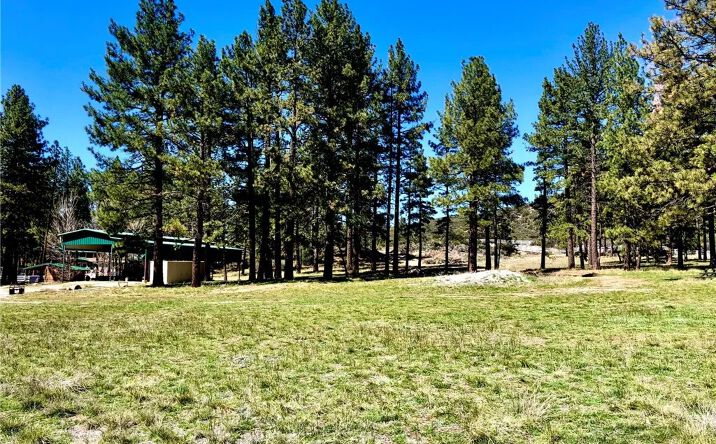 Pictures of Land property located at Butterfly Peak Rd., Mountain Center, CA 92561 for sales - image #1