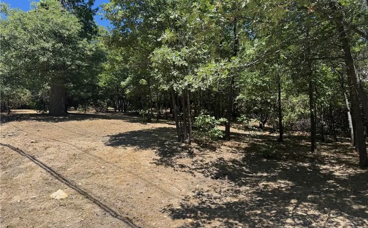 Pictures of Land property located at Lachen, Lake Arrowhead, CA 92352 for sales - image #1