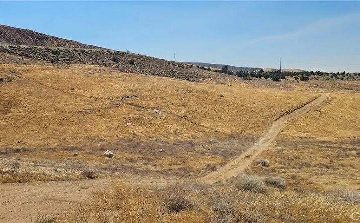 Pictures of Land property located at W Avenue L, Lancaster, CA 93536 for sales - image #1