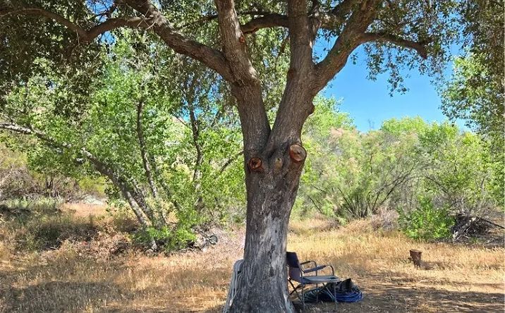 Pictures of Land property located at Los Altos, Sage, CA 92544 for sales - image #1