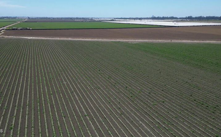 Pictures of Land property located at 5848 Santa Clara Avenue, Camarillo, CA 93010 for sales - image #1