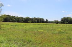 1080421