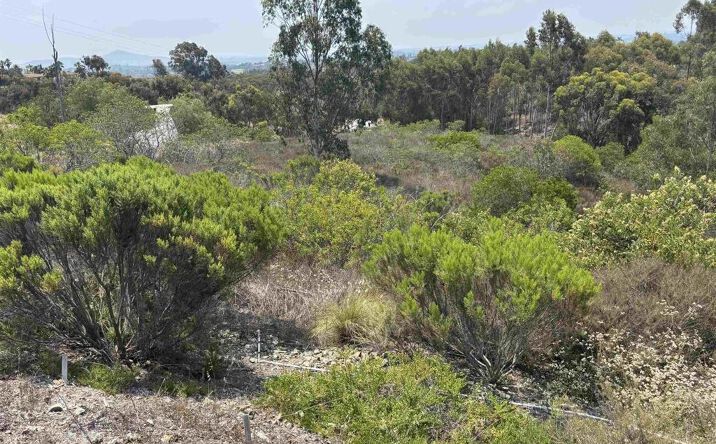 Pictures of Land property located at Lone Hill, Encinitas, CA 92024 for sales - image #1