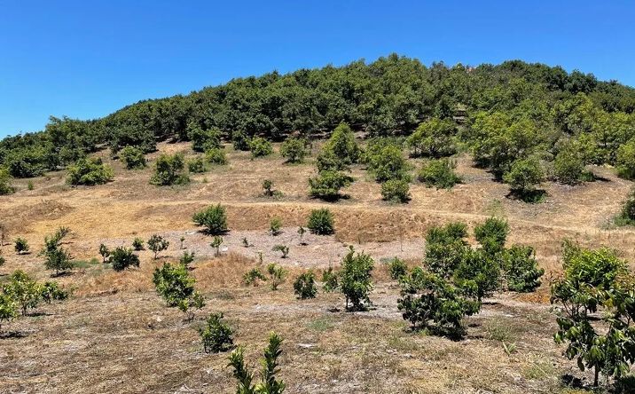 Pictures of Land property located at 2 Via Vaquero, Temecula, CA 92590 for sales - image #1