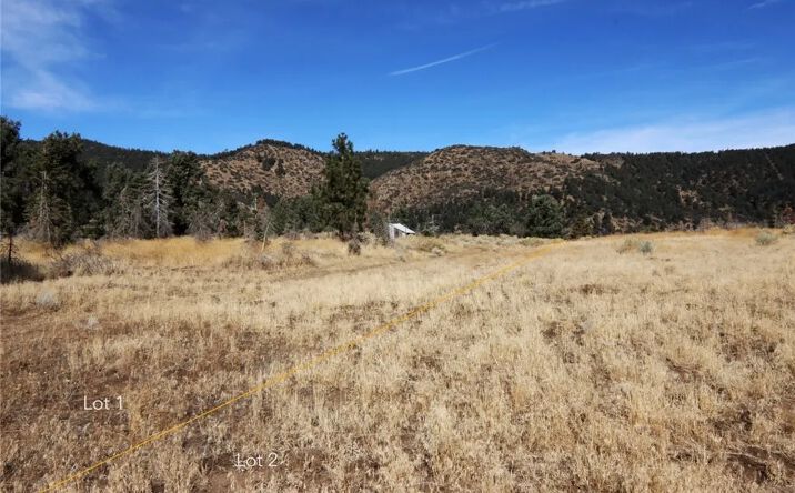Pictures of Land property located at Carreta, Frazier Park, CA 93225 for sales - image #1