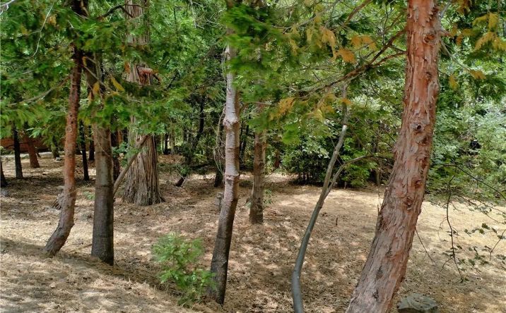 Pictures of Land property located at 27513 Meadow Bay, Lake Arrowhead, CA 92352 for sales - image #1