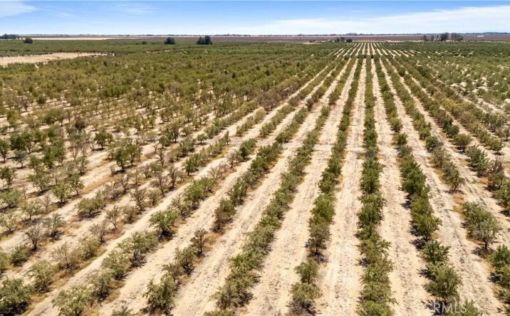 Pictures of Land property located at Buchanan Hollow, Le Grand, CA 95333 for sales - image #1