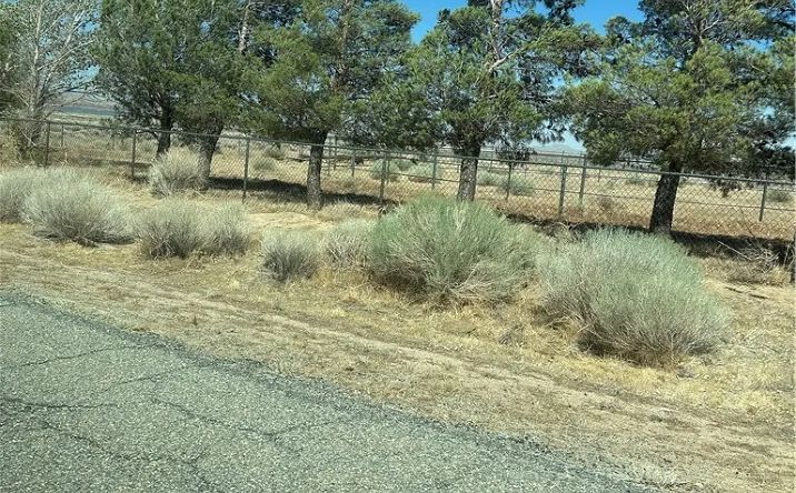 Pictures of Land property located at 50206 230th West, Lancaster, CA 93536 for sales - image #1
