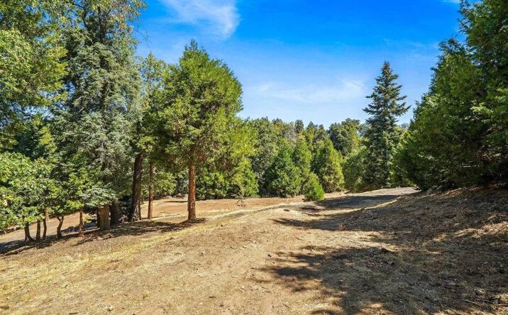 Pictures of Land property located at 22520 Greenfield, Palomar Mountain, CA 92060 for sales - image #1