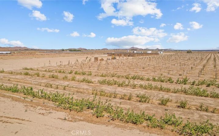Pictures of Land property located at 9200 Sierra Hwy, Mojave, CA 93501 for sales - image #1