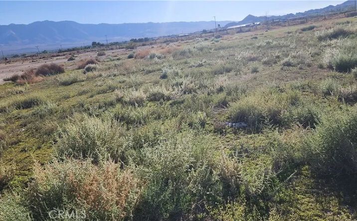 Pictures of Land property located at Rabbit Springs, Lucerne Valley, CA 92356 for sales - image #1