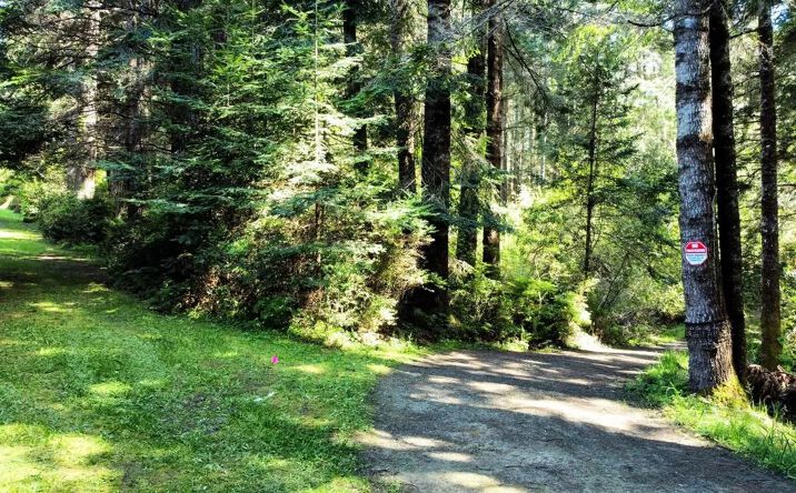Pictures of Land property located at 44551 Raven, Mendocino, CA 95460 for sales - image #1
