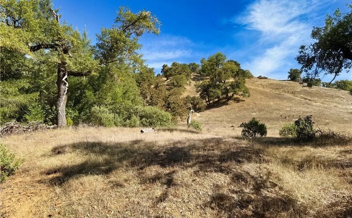 Pictures of Land property located at 18225 Scenic, Redwood Valley, CA 95470 for sales - image #1