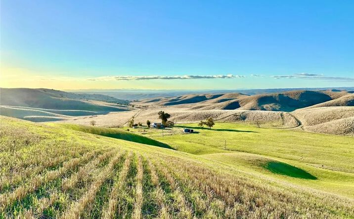 Pictures of Land property located at 3780 S Gillis Canyon, Shandon, CA 93461 for sales - image #1