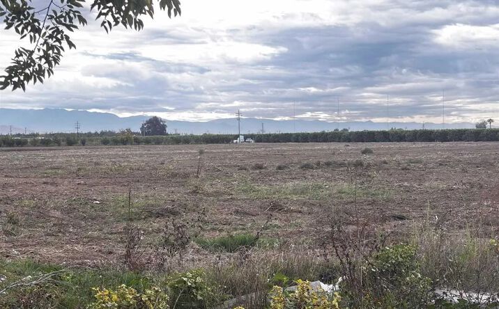 Pictures of Land property located at 39088 Road 104, Dinuba, CA 93618 for sales - image #1