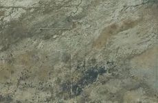 30779549