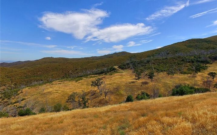 Pictures of Land property located at 20808 Morgan Valley, Lower Lake, CA 95457 for sales - image #1