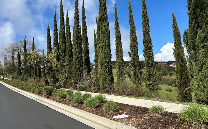 Pictures of Land property located at 16567 Vellano Club Dr, Chino Hills, CA 91709 for sales - image #1