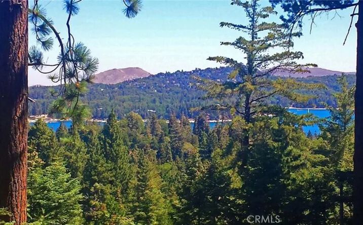 Pictures of Land property located at 525 Ca-173, Lake Arrowhead, CA 92352 for sales - image #1