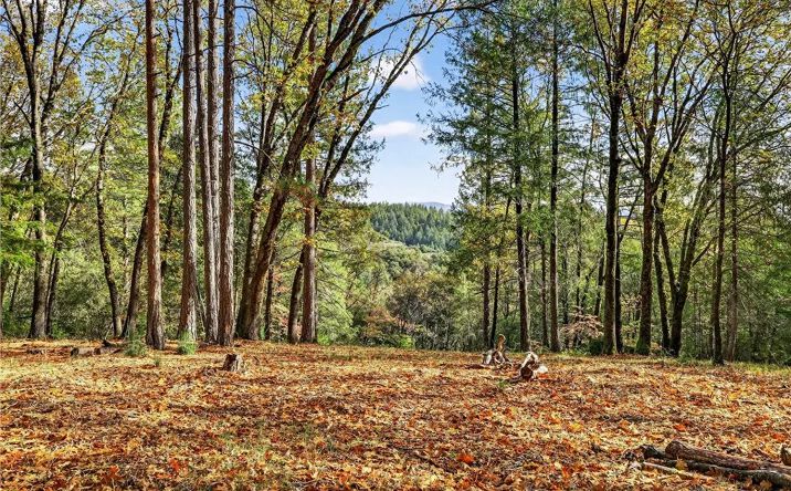 Pictures of Land property located at Burgundy, Forest Ranch, CA 95942 for sales - image #1