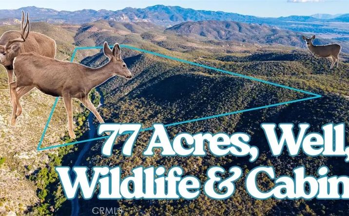 Pictures of Land property located at 28618 Chihuahua Valley, Warner Springs, CA 92086 for sales - image #1