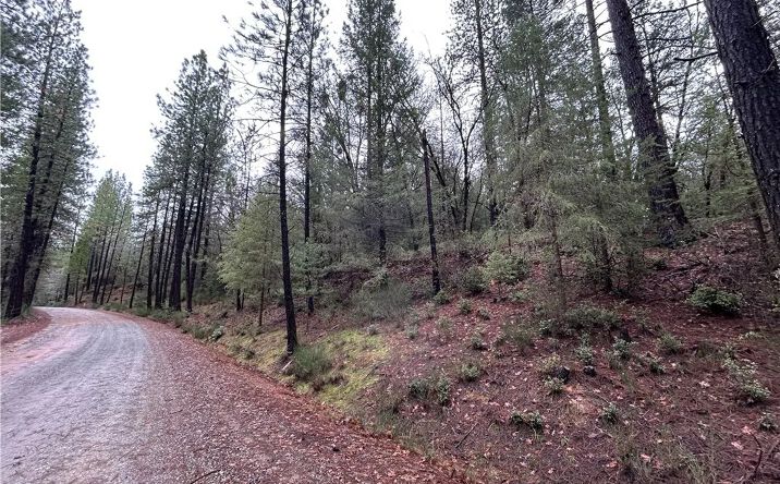 Pictures of Land property located at 14550 Grizzly Hill, Nevada City, CA 95959 for sales - image #1