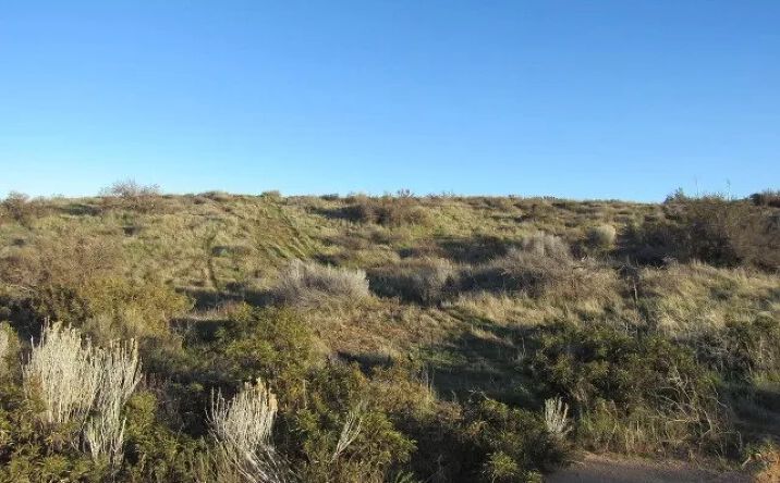 Pictures of Land property located at Flowerfield, Phelan, CA 92371 for sales - image #1